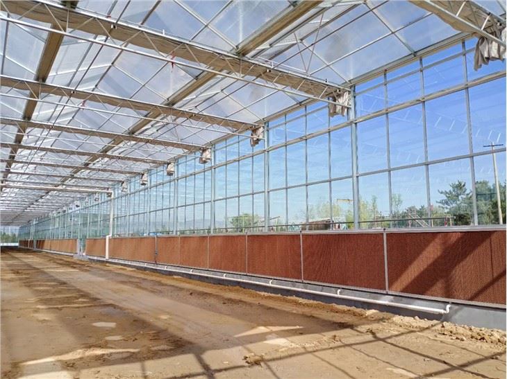 commercial agriculture greenhouse
