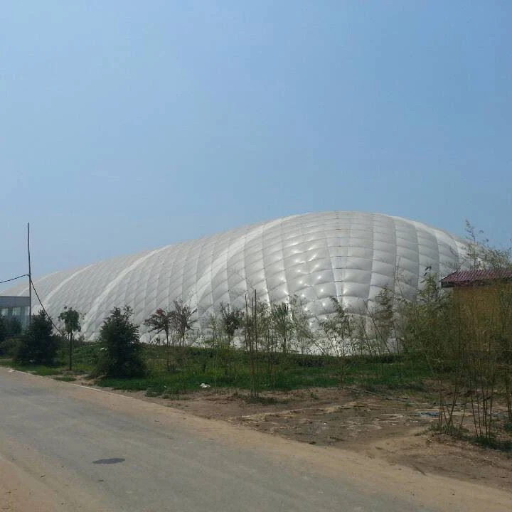 Strawberry Greenhouse