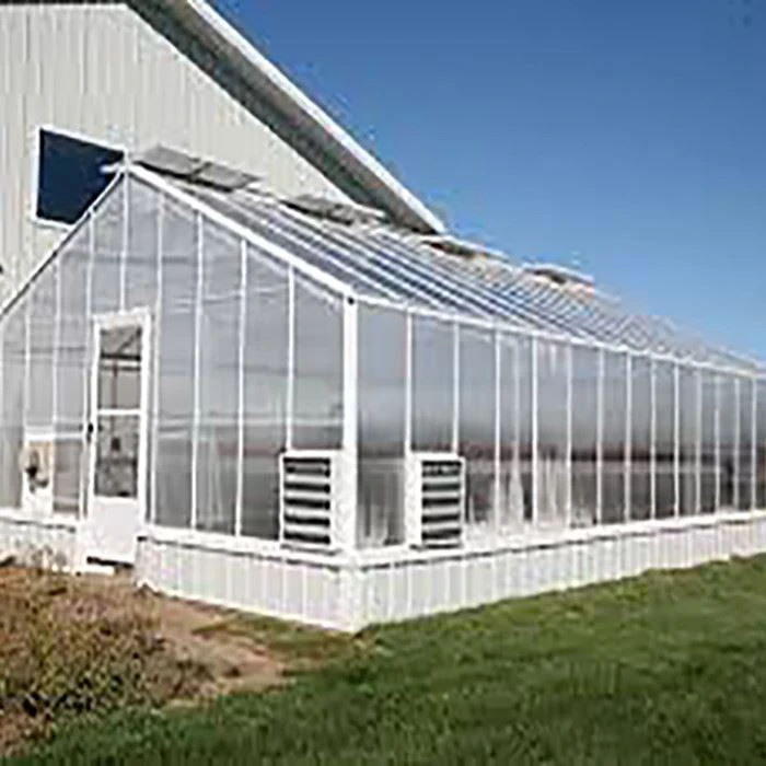 Strawberry Greenhouse